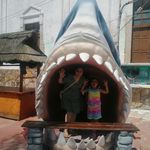 Profile Picture of Daniela Roche (@danielaroche) on Instagram