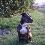 Profile Picture of Michael Reissig (@michael.reissig.74) on Instagram