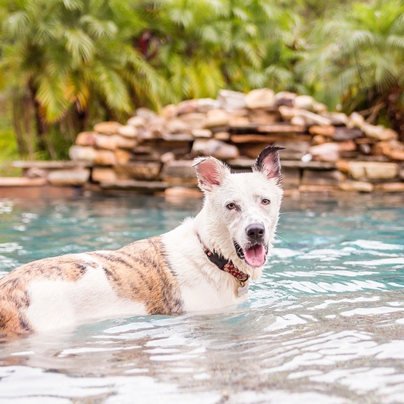 Profile Picture of Barbara Meshnick (@bmeshnick) on Poshmark