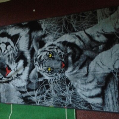 Profile Picture of Marek-Samuel Neu (@Marek2025) on Twitter