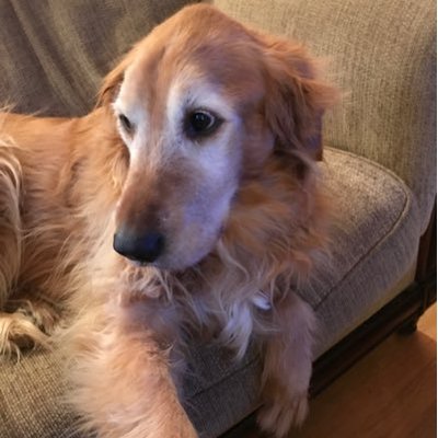Profile Picture of Jim (@Jim_donahue9) on Twitter