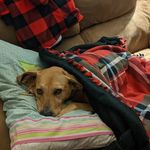 Profile Picture of Jeremy Janisch (@janischjeremy) on Instagram