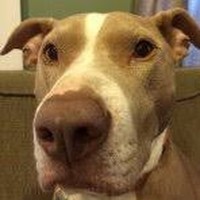 Profile Picture of Zachary Roland (@zachary-roland-1) on Quora