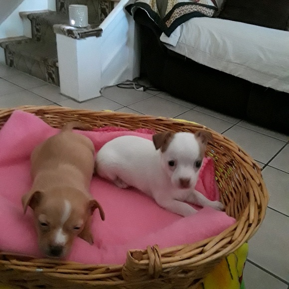 Profile Picture of Luz Diaz (@luzdiaz229) on Poshmark