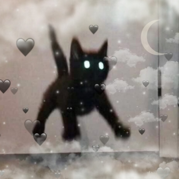 Profile Picture of Xavier Petrie (@xpetrie2006) on Poshmark