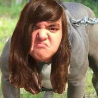 Profile Picture of Connor Daniel (@connor-daniel-8) on Quora