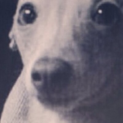 Profile Picture of Jacob Ankney (@AnkneyJacob) on Twitter