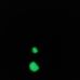 Profile Picture of James David (@james.wilcox.94009841) on Facebook