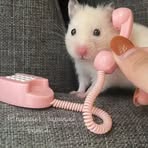 Profile Picture of Laboni Lisa (@laboni.lisa.2025) on Facebook