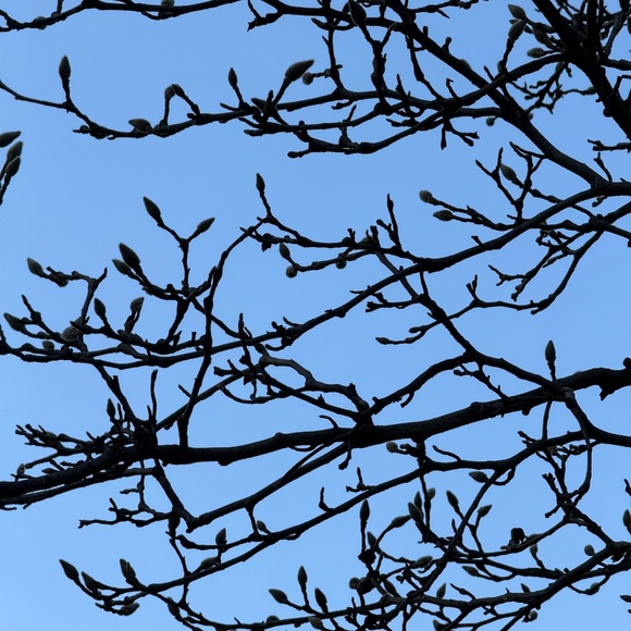 Profile Picture of Tugba Karadayı thomas (@tugbakaradayi) on Poshmark