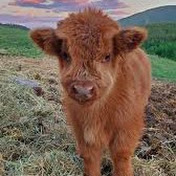 Profile Picture of Amanda Dunse (@amandadunse4698) on Youtube