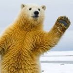 Profile Picture of Guy Heller (@guylr) on Instagram