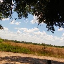 Profile Picture of Maira Szeszko (@BelenSzeszko) on Twitter