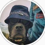 Давид Лончар - Instagram Profile Picture of Давид Лончар (@daviid.72) on Instagram