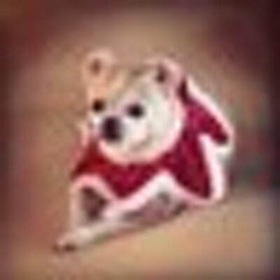 Profile Picture of LORRIE ALBERT (@LORRIEKimberly) on Twitter