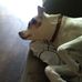 Profile Picture of Randall Dawson (@randall.dawson.16) on Facebook