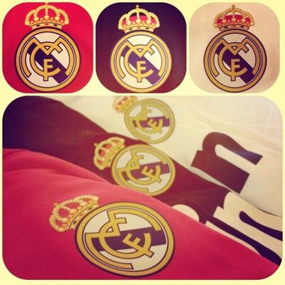 Profile Picture of Michael Gregorius (@micha_gregorius) on Twitter