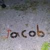 Profile Picture of Jacob Slagle (@@jacobslagle) on Tiktok