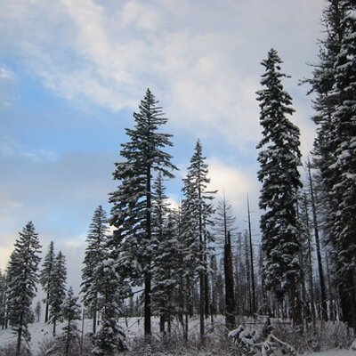 Profile Picture of Amanda Eriksen (@mandyeriksen) on Twitter