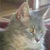 Profile Picture of Roberta Overpeck (@roberta.overpeck.5) on Facebook