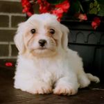 Profile Picture of James Schlicher (@james.schlicher882) on Instagram