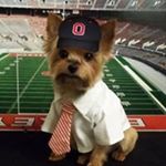 Profile Picture of LeNora Taylor Armbruster (@lenoraarmbruster) on Instagram