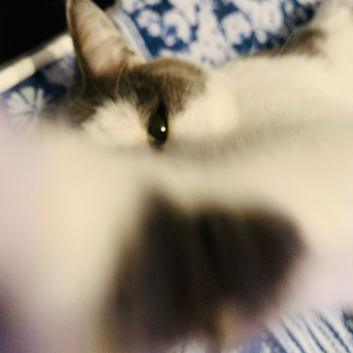 abbey - Tiktok Profile Picture of abbey (@abbey_crocker) on Tiktok