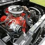 Profile Picture of Brian Volinsky (@brianvolinsky) on Instagram