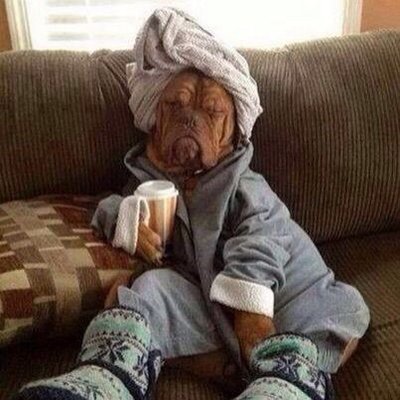 Profile Picture of Max Bahr (@KingjoongeMax14) on Twitter