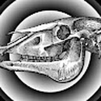 Profile Picture of Caleb Piper (@caleb-piper-7) on Quora