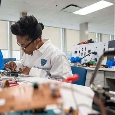 Profile Picture of N.Sandrine Mubenga PhD, PE (@NgalulaPe) on Twitter