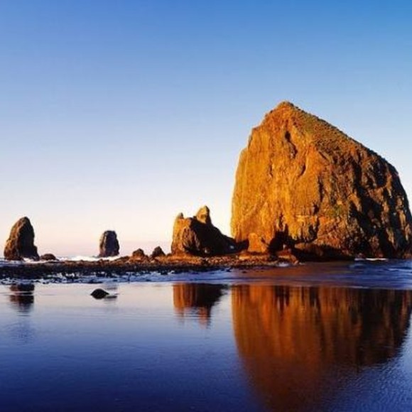 Profile Picture of Jeffrey Bobbitt (@lulapoe7423) on Poshmark