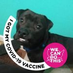 Profile Picture of Michelle Bledsoe (@bledsoe.michelle) on Instagram