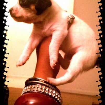 Profile Picture of Mandy Montana McNair (@Mandy__McNair) on Twitter