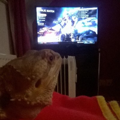 Profile Picture of Adam Whyte (@GRMgizmo) on Twitter