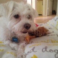 Shyla Gowda - Quora Profile Picture of Shyla Gowda (@shyla-gowda-2) on Quora