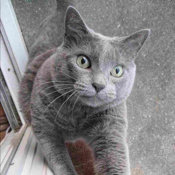 Profile Picture of Danielle Cannata (@libra0520) on Poshmark