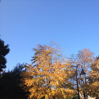 Profile Picture of Noah Sarkowsky (@noah_sarkowsky) on Twitter