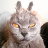 Profile Picture of Ricky Yip (@30517836377) on Tiktok