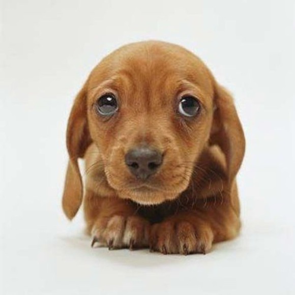 Katherine Cuozzo - Poshmark Profile Picture of Katherine Cuozzo (@katcassidy27) on Poshmark