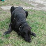 Profile Picture of David selvage (@davewavey2009) on Instagram