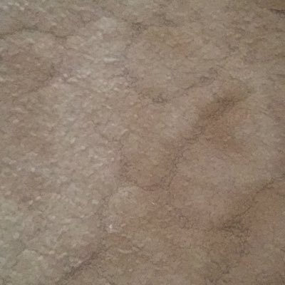 Profile Picture of David & Anne Viney (@gruyerehill) on Twitter