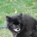 Profile Picture of John Armstead (@john.armstead.3572) on Facebook