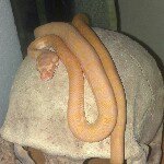 Profile Picture of adam_madden (@adam_madden) on Instagram