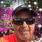 Profile Picture of Dominic Parente (@dominic.parente.39) on Facebook
