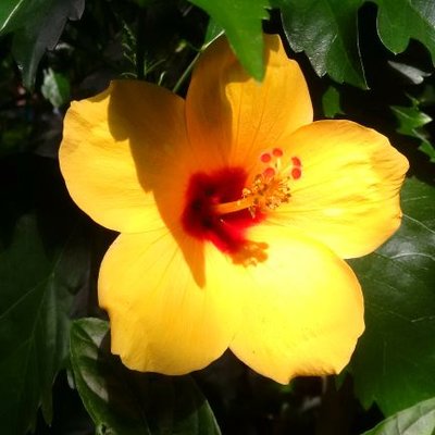 Profile Picture of Paula Lussier (@Sweet_Little_P) on Twitter