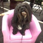 Profile Picture of ☆☆☆ Kim McDaniel McNabb ☆☆☆ (@kimmarlenemcnabb) on Instagram