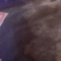 Joe Carder - Quora Profile Picture of Joe Carder (@joe-carder-4) on Quora