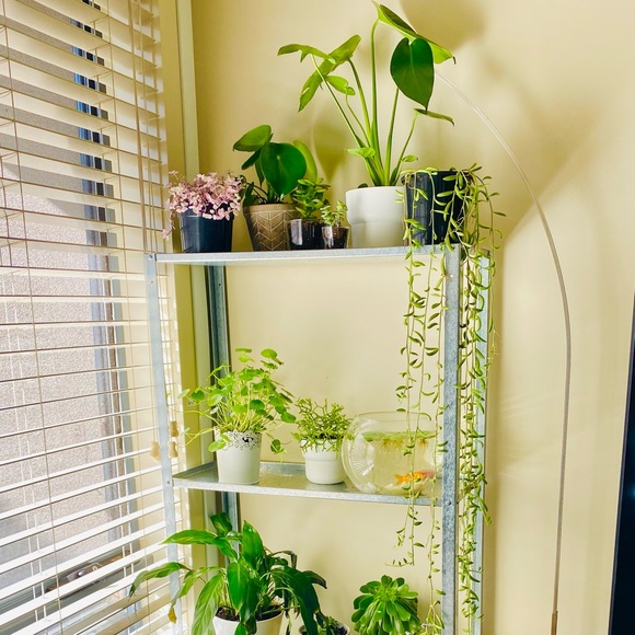 Profile Picture of Man Jiang (@0400718705j) on Poshmark