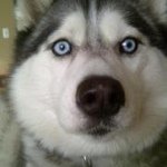 Profile Picture of Ken Hutter (@kenhutter) on Instagram